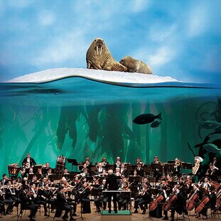 BBC Blue Planet II Live In Concert