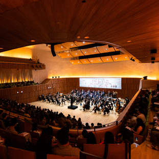 Valentina Farcas Recital