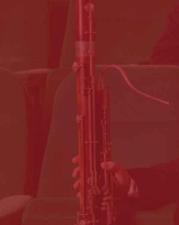 Bassoons