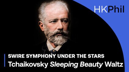 TCHAIKOVSKY | Sleeping Beauty Waltz